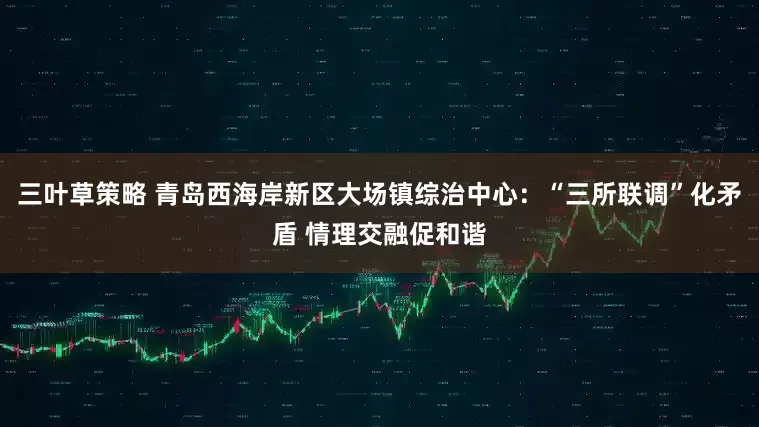 三叶草策略 青岛西海岸新区大场镇综治中心：“三所联调”化矛盾 情理交融促和谐